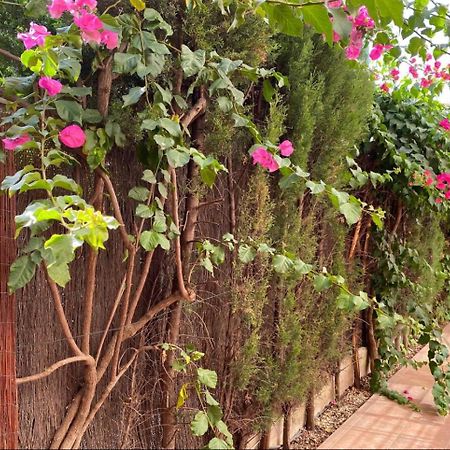 Arruzafa Home قرطبة المظهر الخارجي الصورة