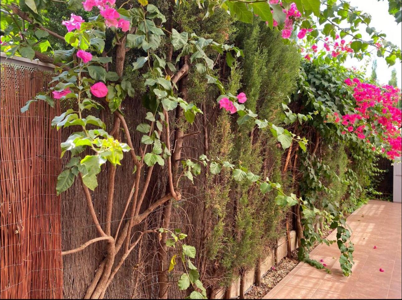 Arruzafa Home قرطبة المظهر الخارجي الصورة