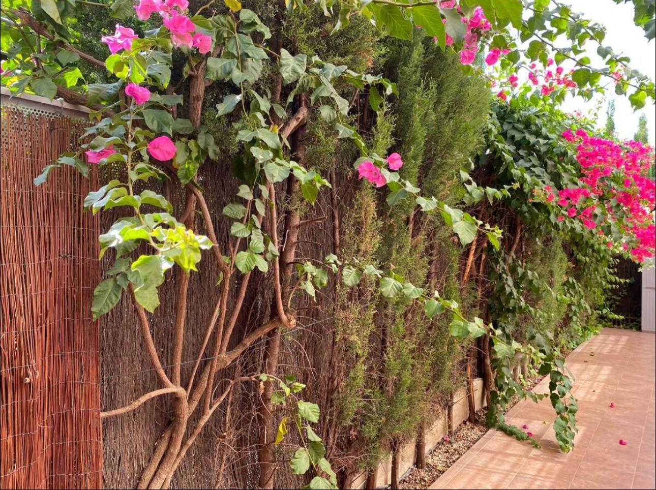 Arruzafa Home قرطبة المظهر الخارجي الصورة